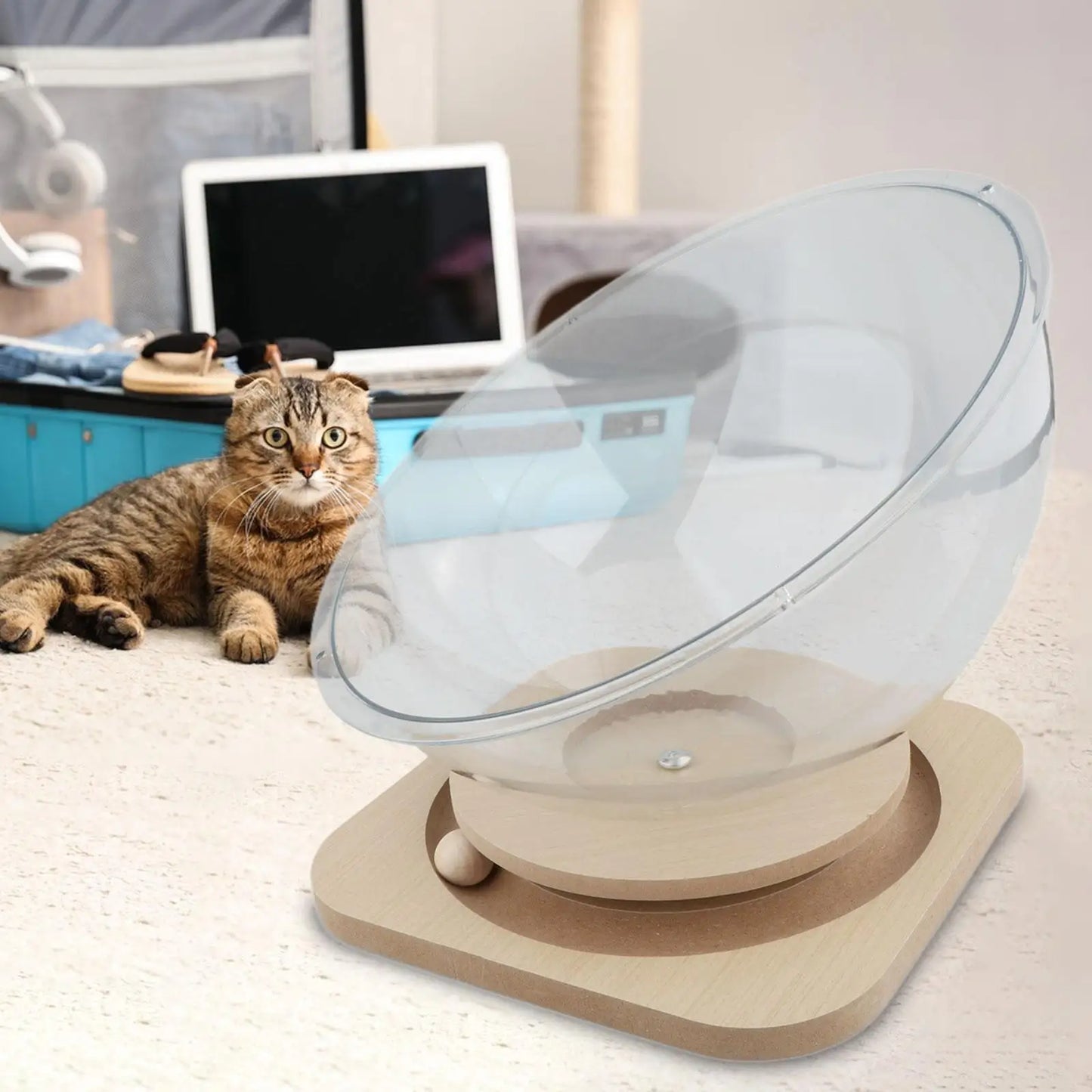 Space Capsule Cat Bed Kitten Sleeping Nest Acrylic Universal Cat Activity Centre Hammock Nest Kennel for Small Animals Pet Suppl