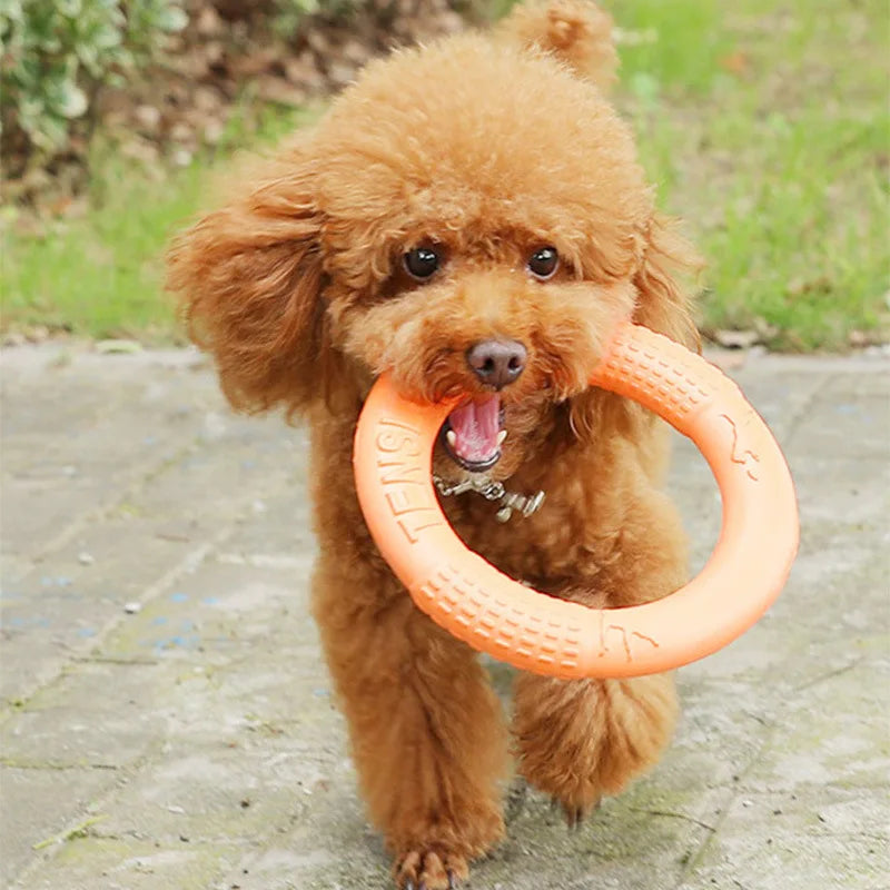 Dog Flying Disk Floating Water Pet Toys Dog Training Ring Interactive Toy Resistant Chewing for Small Medium Large Dogs